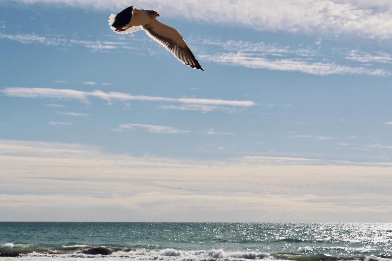 تغازوت Atlas Wonders Coworking Surf Camp المظهر الخارجي الصورة